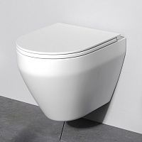 Комплект: инсталляция с унитазом и клавишей AM.PM Spirit V2.0 IS47051.701700