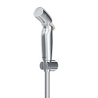 Гигиенический душ с держателем и шлангом Damixa Shower program 760550200