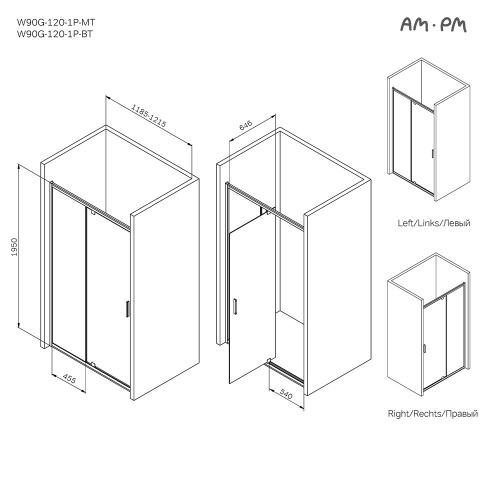 Душевая дверь в нишу 120x195 см, распашная AM.PM Gem W90G-120-1P-BT фото 4