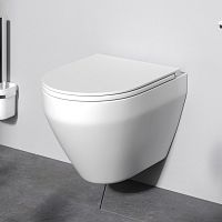 Унитаз подвесной FlashClean с сиденьем микролифт AM.PM Spirit V2.0 C701700SC