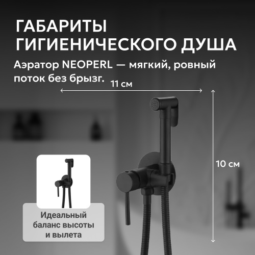 Встраиваемый смеситель с гигиеническим душем, черный матовый ABBER Wasser Kreis AF8125B фото 7