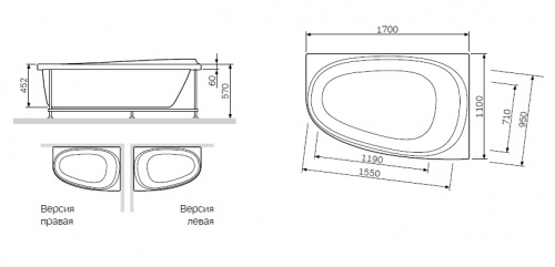 Панель фронтальная для ванны AM.PM Like W80A-170U110W-P фото 4