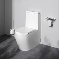 Моноблок безободковый с сиденьем микролифт AM.PM Func C8F8900SC