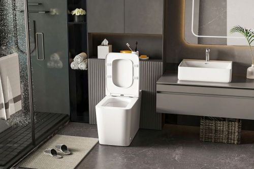 Унитаз ABBER Rechteck AC1212P приставной белый с импульсным смывом фото 16