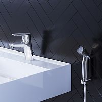 Смеситель для раковины с гигиеническим душем Damixa Jupiter 770300001