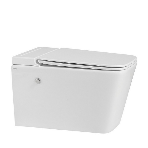 Комплект  подвесной унитаз Rechteck AC1202P белый с импульсным смывом с инсталляцией AC0101P фото 3