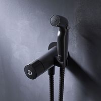 Гигиенический набор для скрытого монтажа с нажимным смесителем AM.PM X-Joy F0H85A522