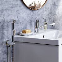 Смеситель для раковины с гигиеническим душем Damixa Jupiter 770230001