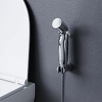 Гигиеническая лейка с держателем AM.PM AM.PM F0201932
